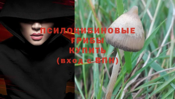 кокаин колумбия Пересвет